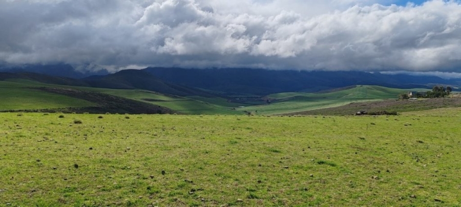 0 Bedroom Property for Sale in Caledon Rural Western Cape